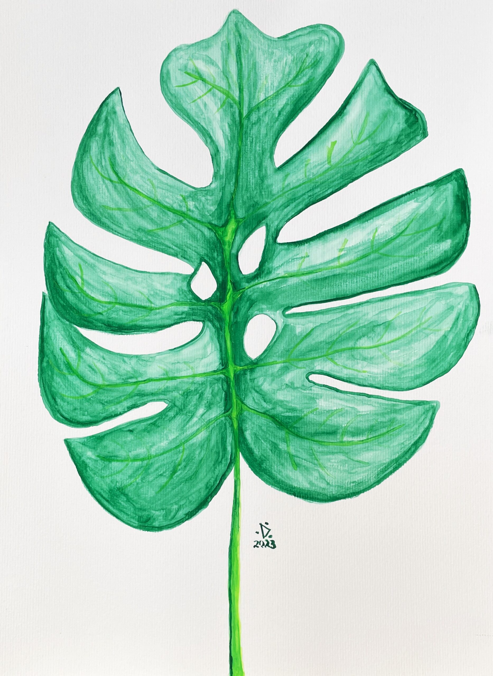 Monstera 1 by DanFF