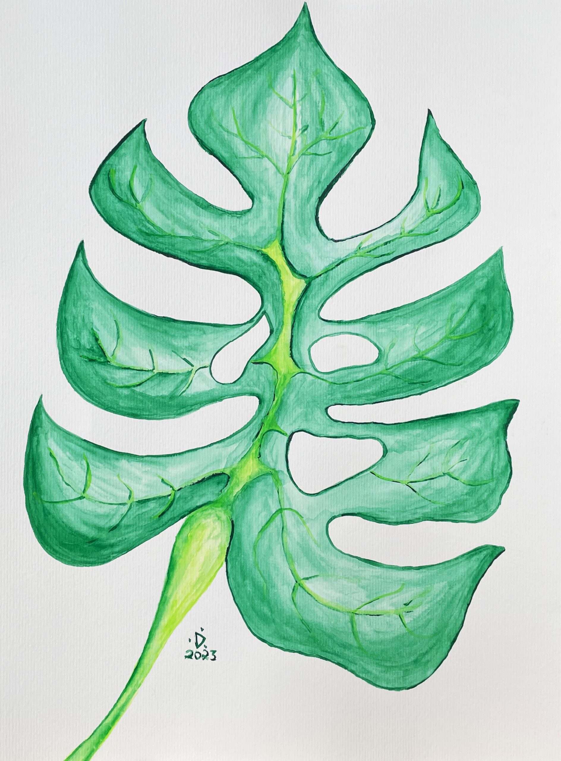 Monstera 2 by DanFF